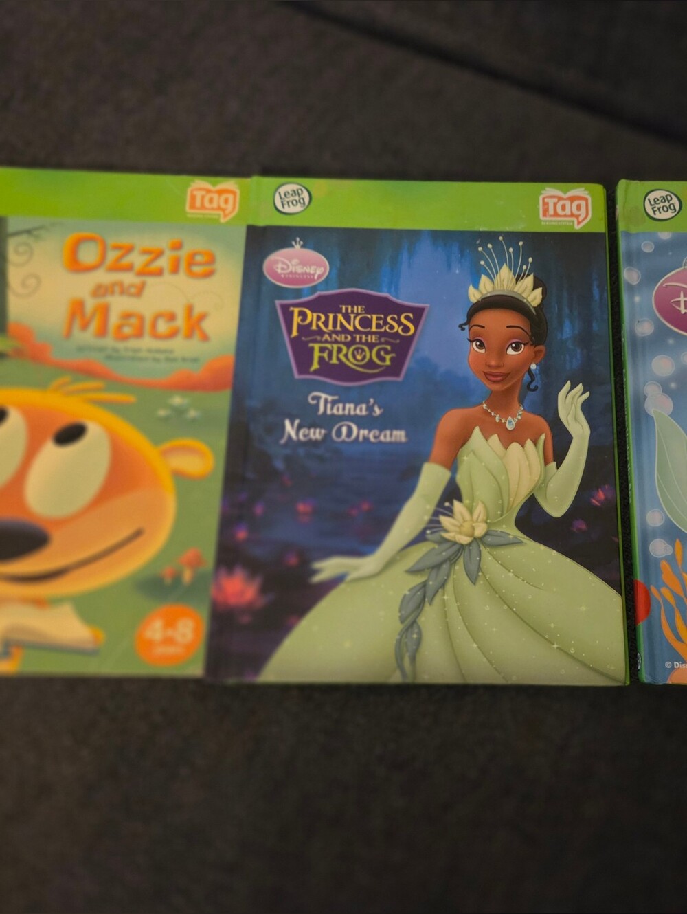 Leapfrog Tag Book Lot B